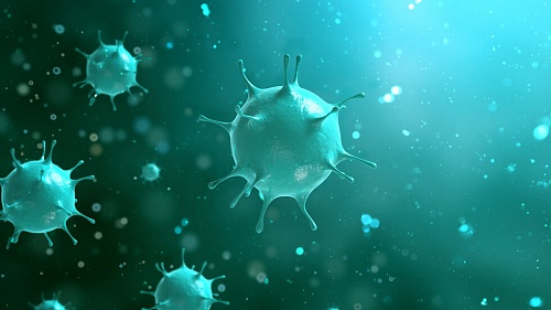 ПНТ - меры для снижения рисков распространения коронавируса